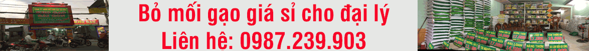 bỏ mối gạo giá sỉ