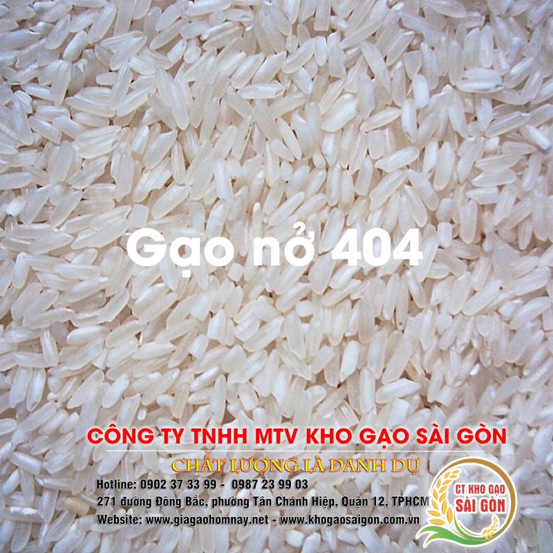 Gạo nở 404 giá rẻ