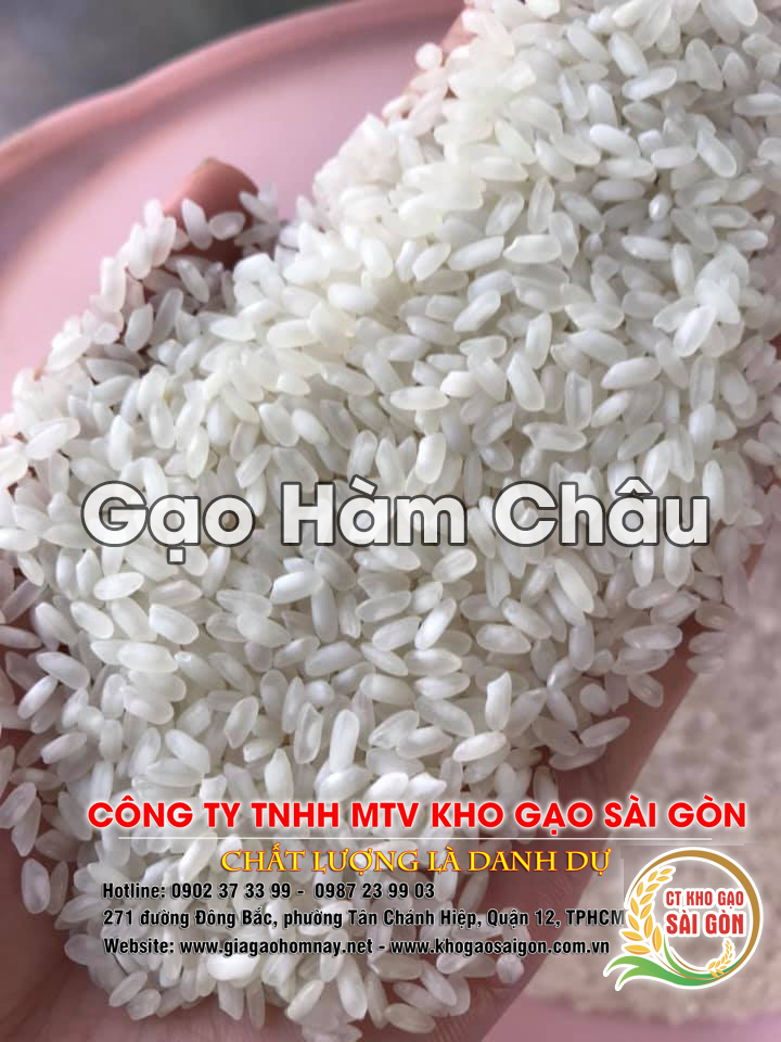 Gạo Hàm CHâu
