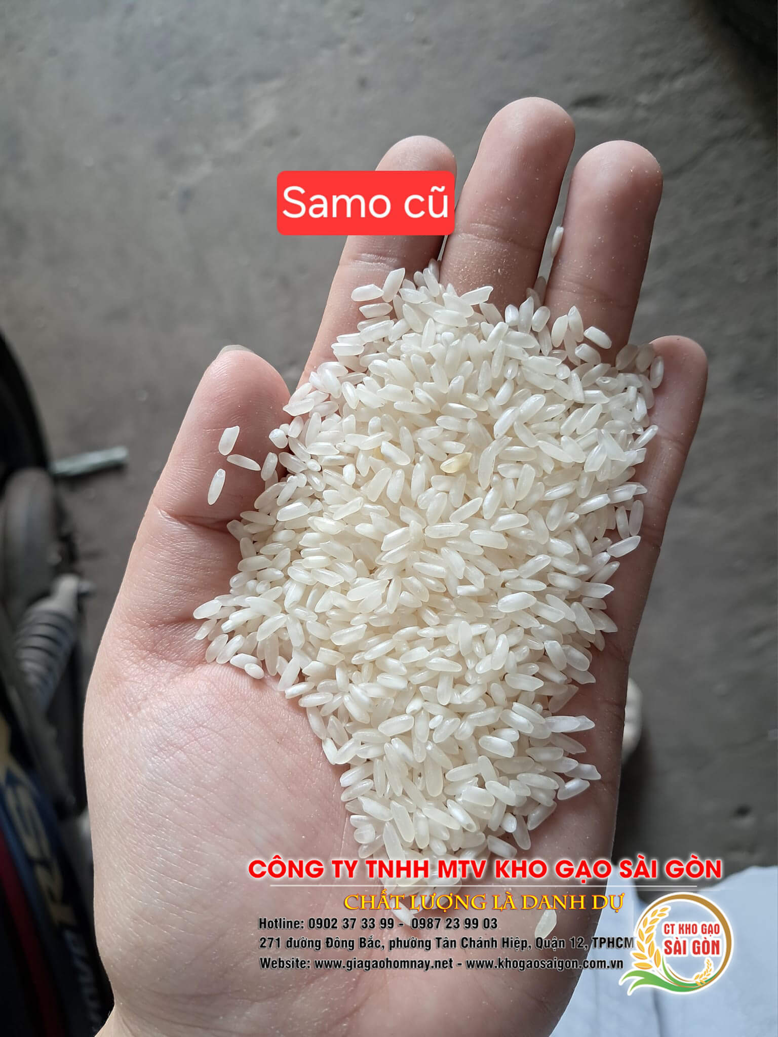 Gạo Sa mơ giá rẻ